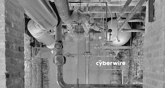 The CyberWire Daily Briefing 7.25.17