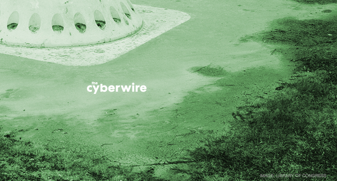 The CyberWire Daily Podcast 7.5.17