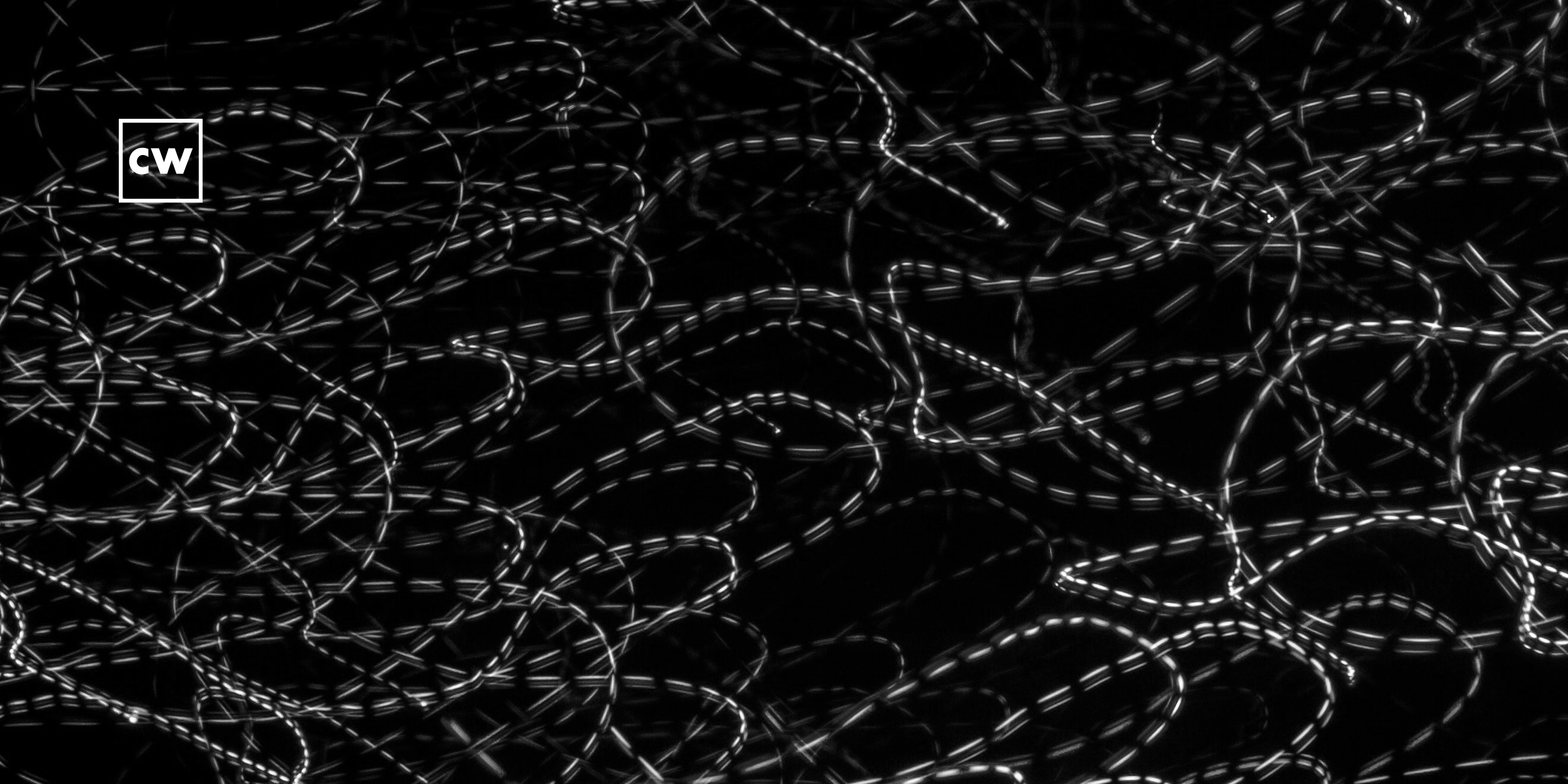 The CyberWire CyberWire Daily Briefing 2.1.21